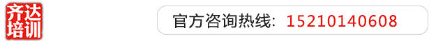 屄淫影视齐达艺考文化课-艺术生文化课,艺术类文化课,艺考生文化课logo